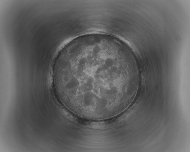 X0000111821363200908061127