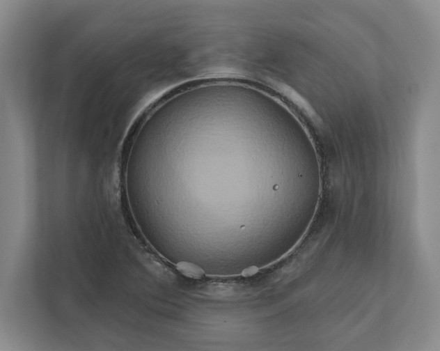 X0000111821364200908061127