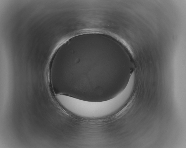 X0000111821365200908061127