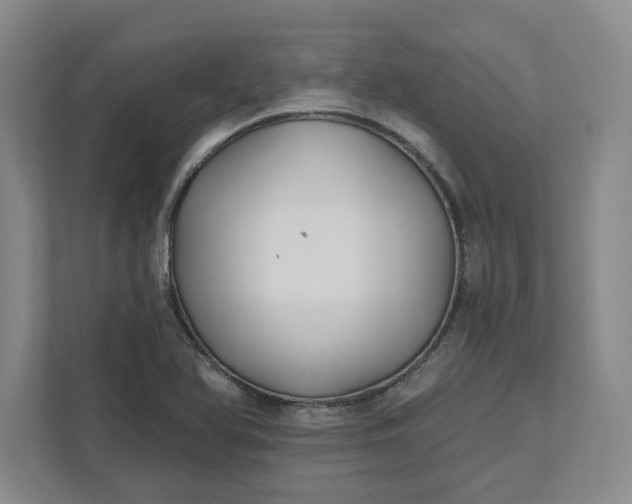 X0000111821366200908061127