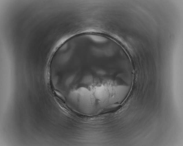 X0000111821367200908061127