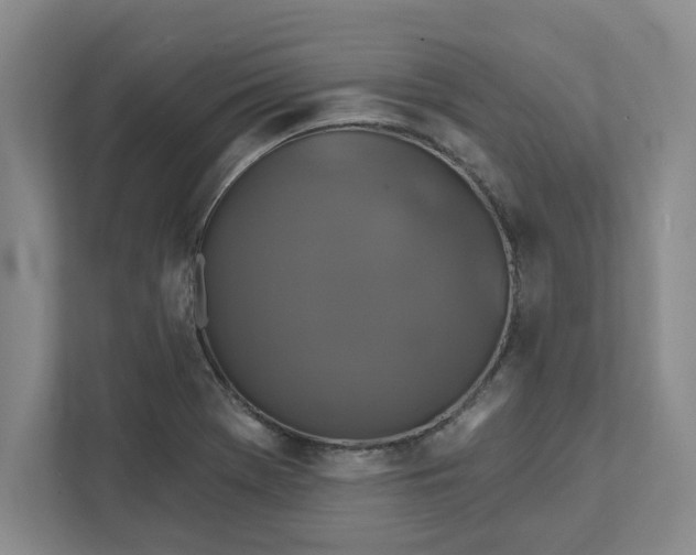 X0000111821369200908061127