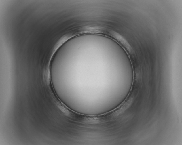X0000111821370200908061127