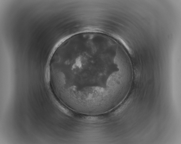 X0000111821371200908061127