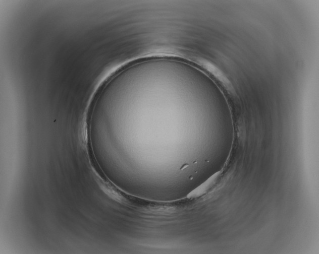 X0000111821372200908061127