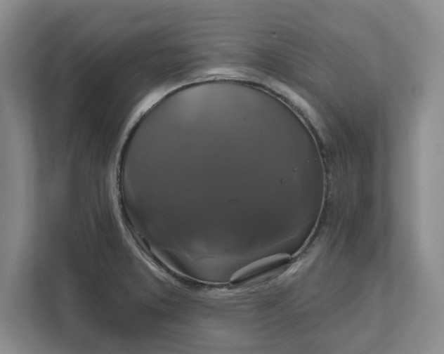 X0000111821373200908061127