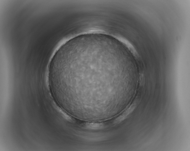 X0000111821374200908061127