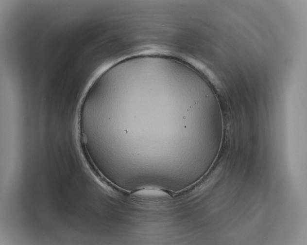 X0000111821375200908061127