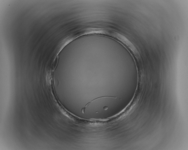 X0000111821377200908061127