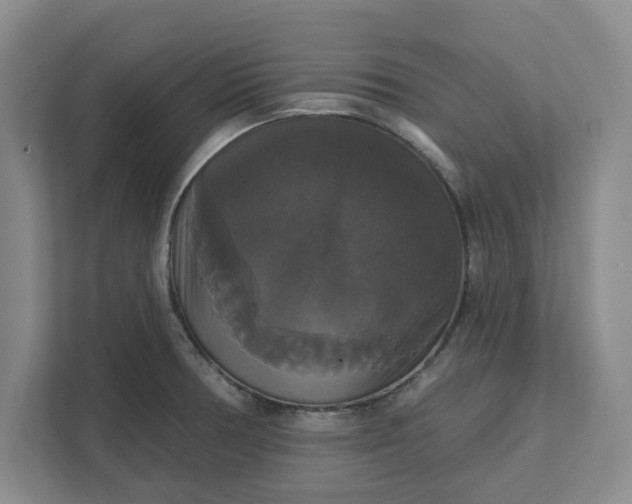 X0000111821378200908061127