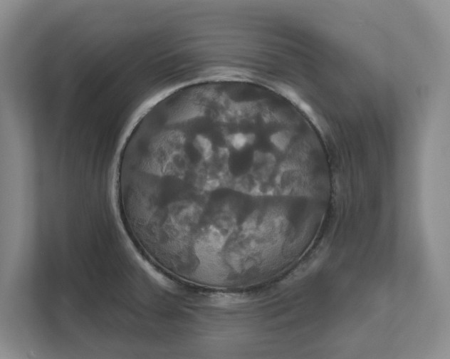 X0000111821379200908061127