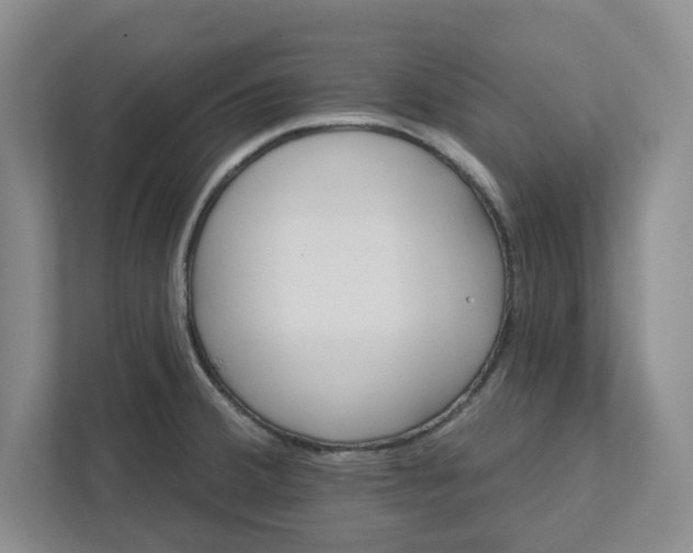 X0000111821380200908061127