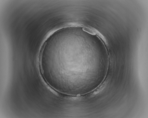 X0000111821381200908061127