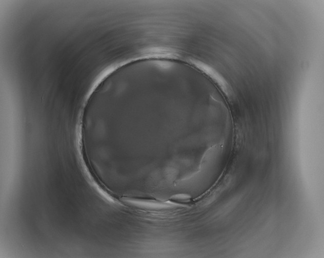 X0000111821383200908061126