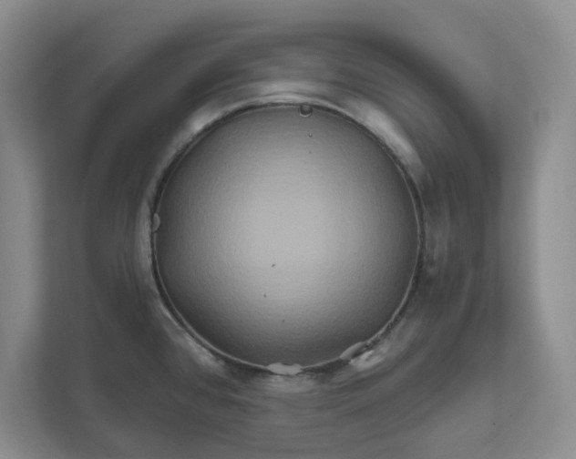 X0000111821384200908061126