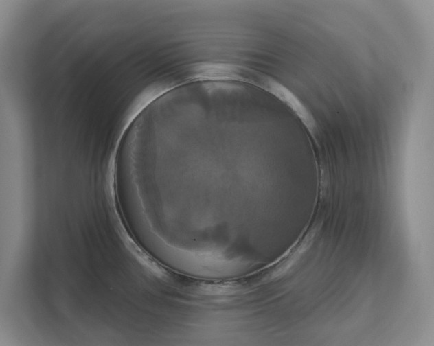 X0000111821386200908061126