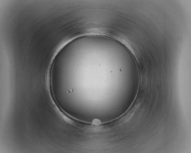 X0000111821387200908061126