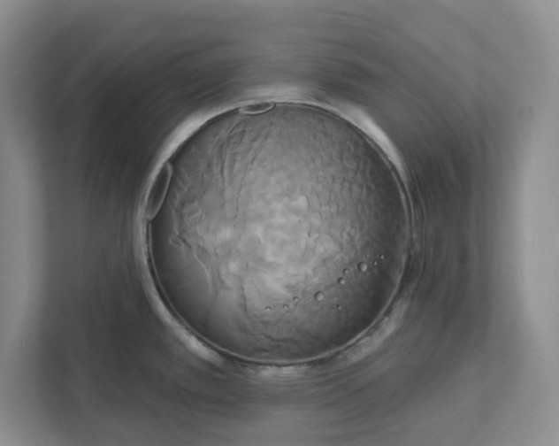 X0000111821389200908061126