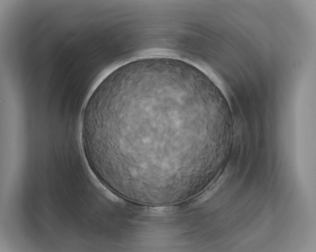 X0000111821390200908061126