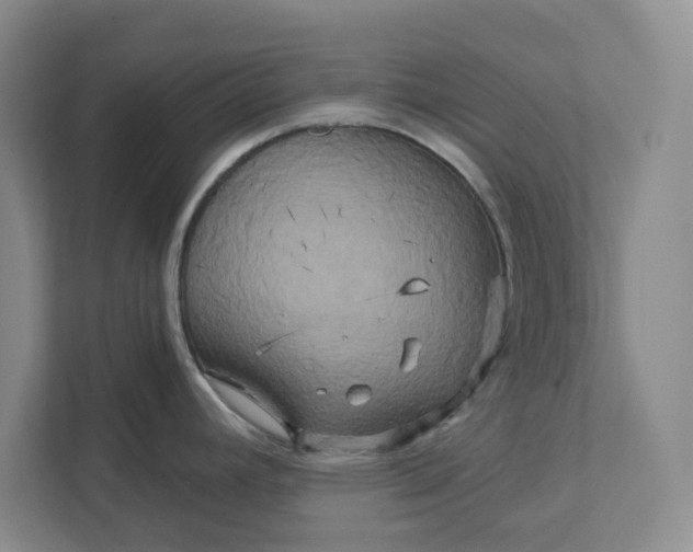 X0000111821392200908061126