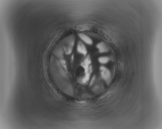 X0000111821393200908061126