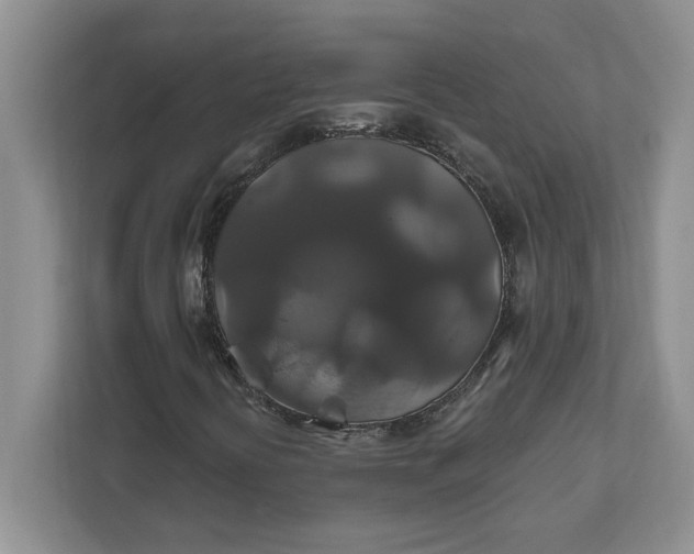 X0000111821394200908061126