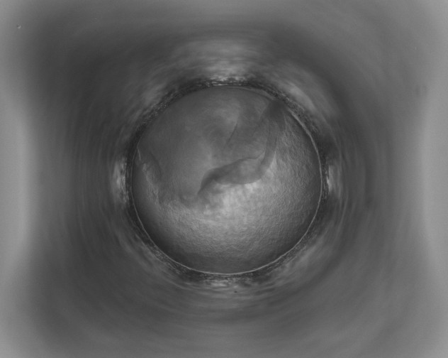 X0000111821396200908061126