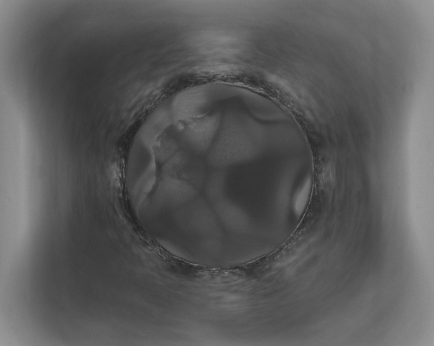 X0000111821397200908061126