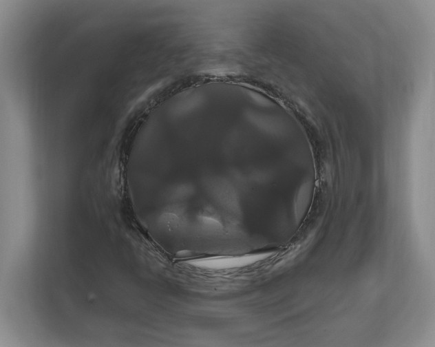 X0000111821398200908061126