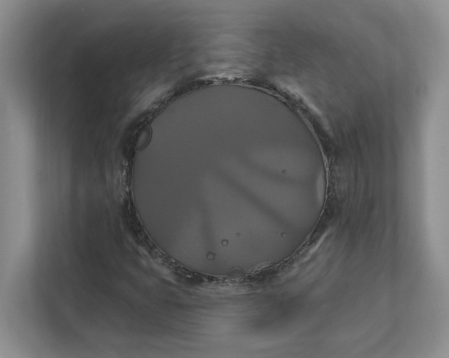 X0000111821399200908061126
