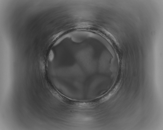 X0000111821401200908061126