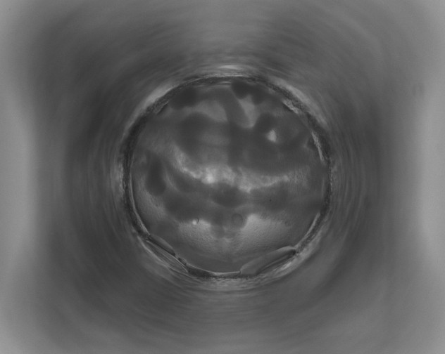 X0000111821402200908061126