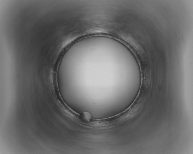 X0000111821404200908061126