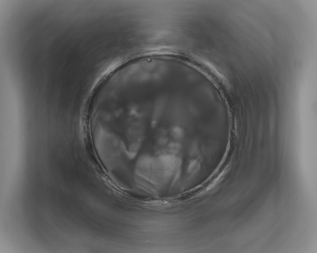X0000111821405200908061126