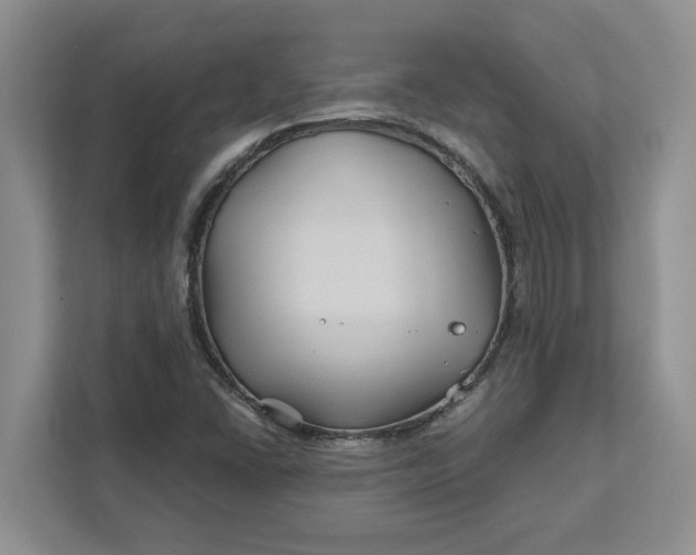 X0000111821406200908061126