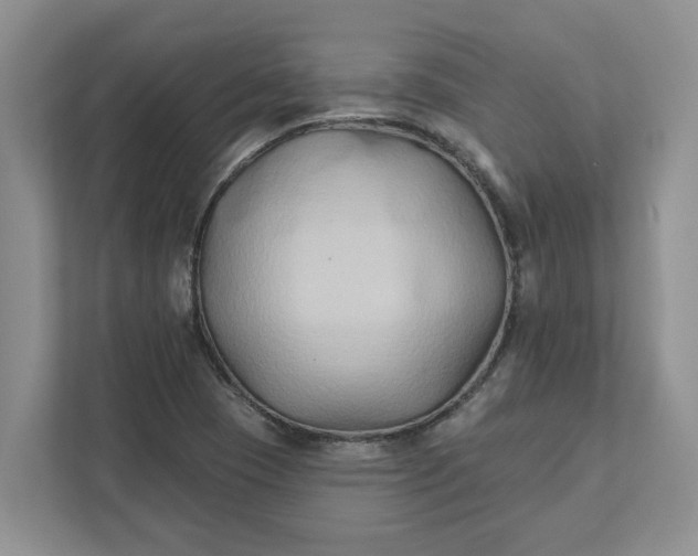 X0000111821409200908061126