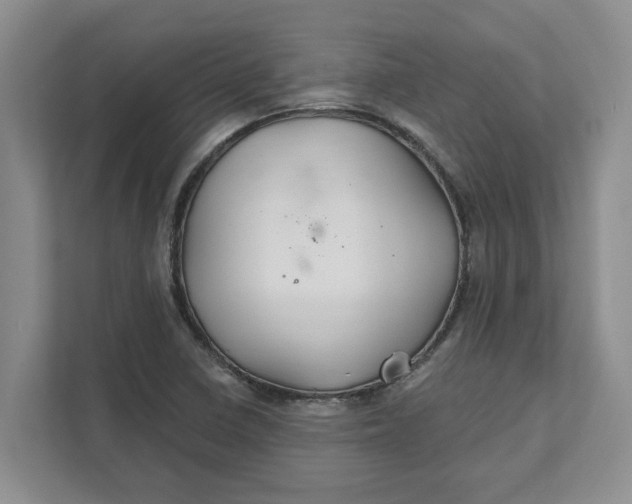X0000111821410200908061126