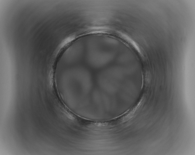 X0000111821411200908061126