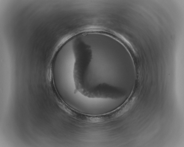 X0000111821413200908061126