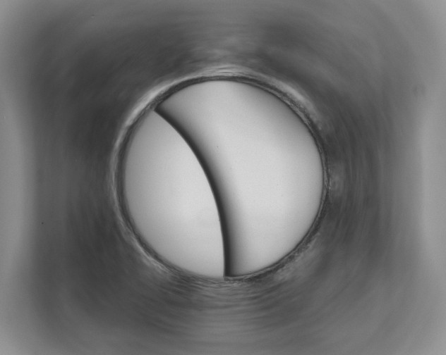 X0000111821414200908061126