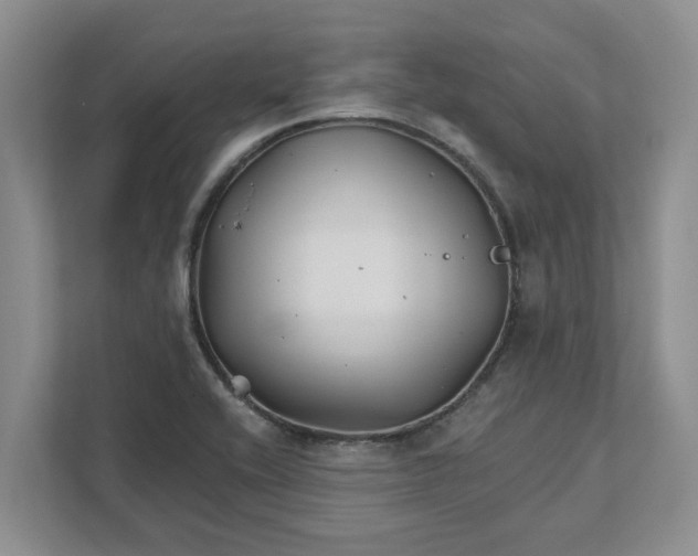 X0000111821416200908061126
