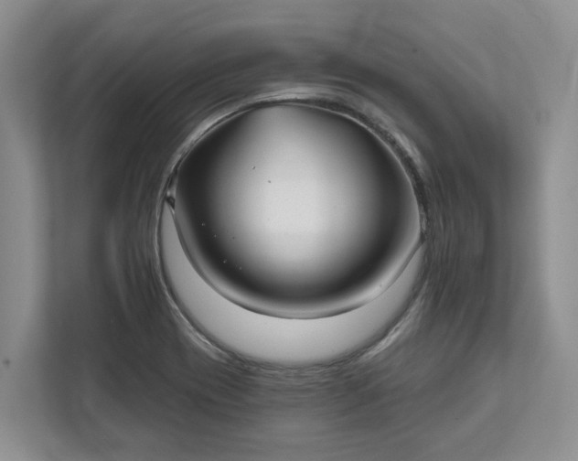 X0000111821417200908061126