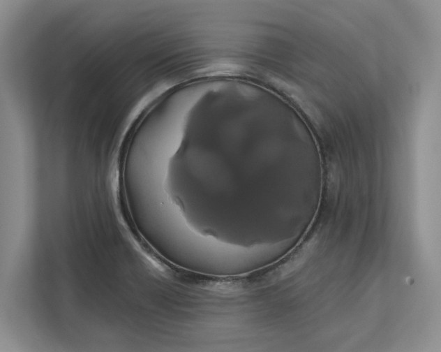 X0000111821418200908061126