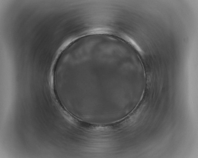 X0000111821419200908061126