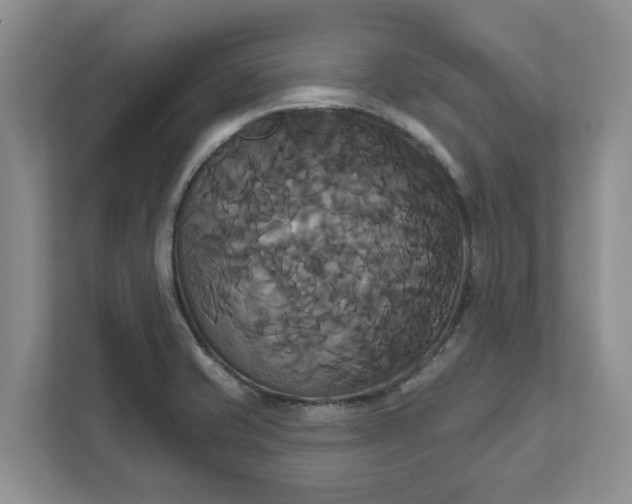X0000111821421200908061126