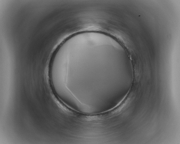 X0000111821422200908061126