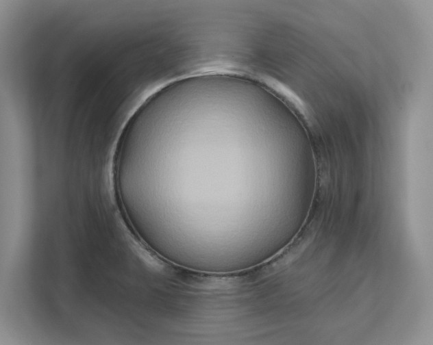 X0000111821423200908061126