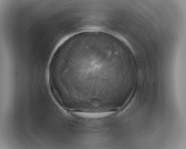 X0000111821424200908061126