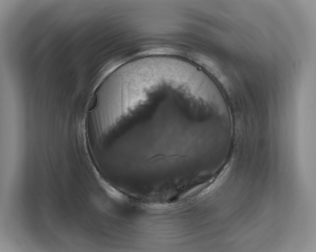 X0000111821425200908061126