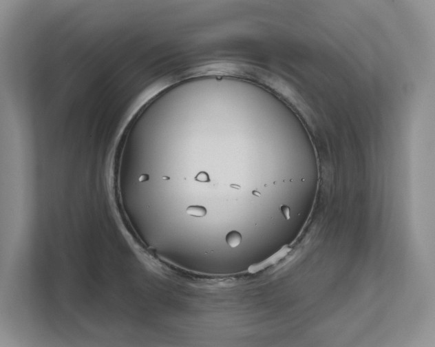 X0000111821426200908061126